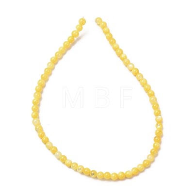 Dyed Natural Freshwater Shell Beads Strands SH-CBA2978-07C-01-1