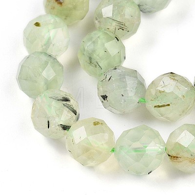 Natural Prehnite Beads Strands G-S345-10mm-28-1