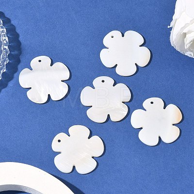 Shell Pendants PBB180Y-1