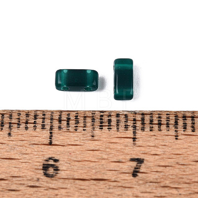Opaque Acrylic Slide Charms OACR-Z010-02A-1