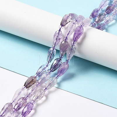 Natural Amethyst Beads Strands G-B028-A11-1