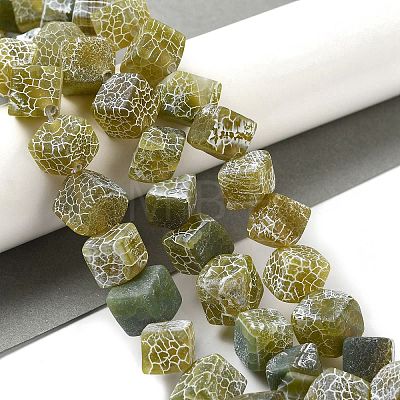 Natural Weathered Agate Beads Strands G-Q169-C04-01B-1