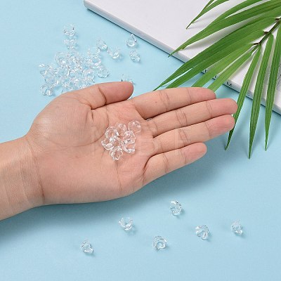 Transparent Acrylic Beads LS-X-PL548-1-1
