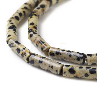 Natural Dalmatian Jasper Beads Strands G-F247-21-1