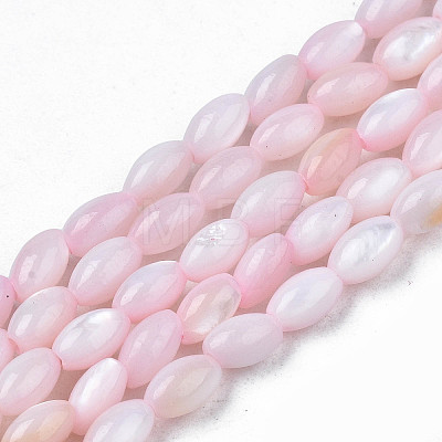 Natural Freshwater Shell Beads Strands X-SHEL-N003-25-B06-1