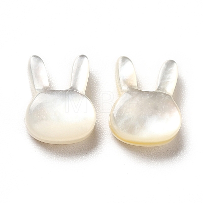 Natural White Shell Beads SHEL-G014-12-1
