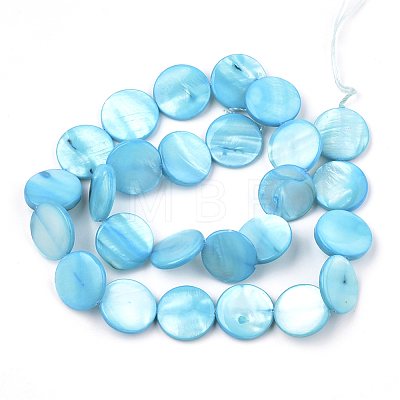 Freshwater Shell Beads X-SHEL-S274-13A-1