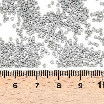 MIYUKI Delica Beads SEED-MY11-DB2281-1