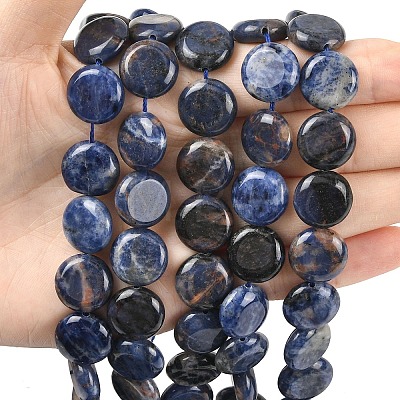 Natural Sodalite Beads Strands G-L648-B07-15mm-1