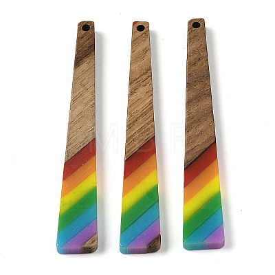Pride Rainbow Theme Resin & Walnut Wood Pendants WOOD-K012-10A-1