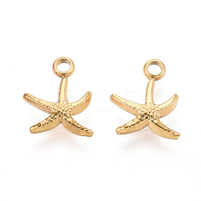 304 Stainless Steel Charms STAS-G352-30G-03-1