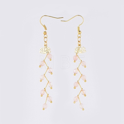 Natural & Synthetic Gemstone Dangle Earrings EJEW-JE03634-1