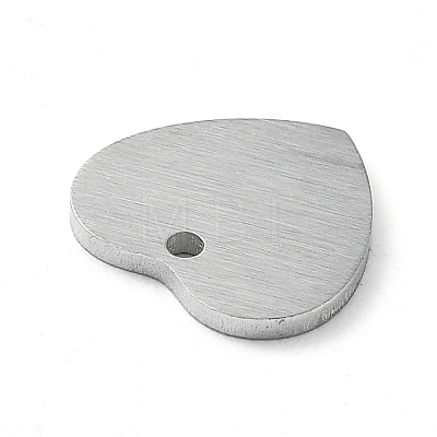 304 Stainless Steel Pendants STAS-F271-06A-P-1