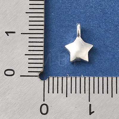 925 Sterling Silver Charms STER-G043-05A-S-1