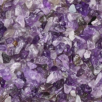 Natural Amethyst Chip Beads G-L453-06-1