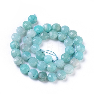 Natural Amazonite Beads Strands G-I249-A23-1