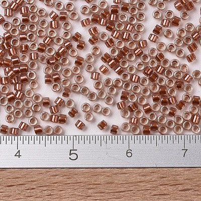 MIYUKI Delica Beads SEED-X0054-DB1704-1