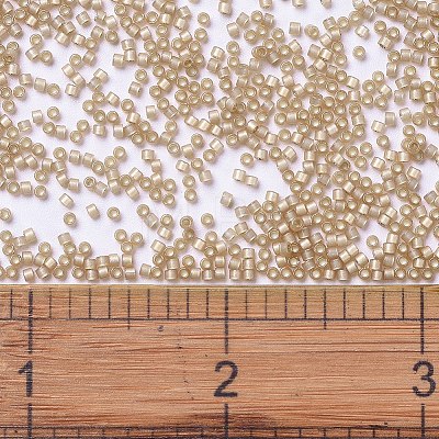 MIYUKI Delica Beads X-SEED-J020-DB2177-1