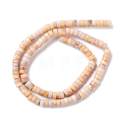 Natural Howlite Beads Strands G-I318-05-1