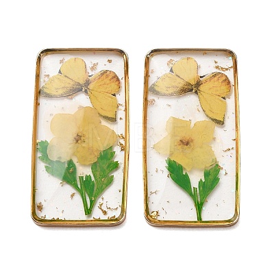 Brass & Transparent Epoxy Resin & Dried Flower Pendants RESI-G133-01G-04-1