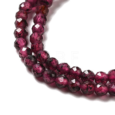 Natural Garnet Beads Strands X-G-I341-09A-1