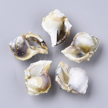 Acrylic Beads OACR-N130-013-1