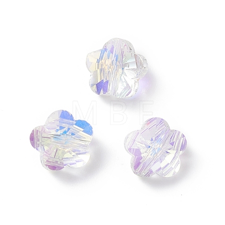 K9 Glass SWAR-O001-05-1