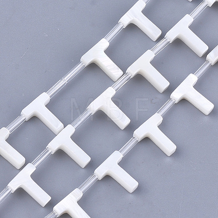 Natural Freshwater Shell Beads SHEL-T012-59T-1