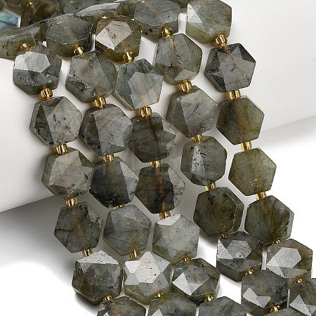 Natural Gray Labradorite Beads Strands G-L660-A02-01-1