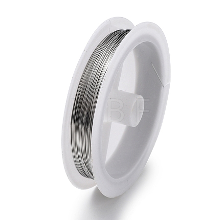 Non-Tarnish 10 Rolls 304 Stainless Steel Wire X-TWIR-H001-01F-P-1