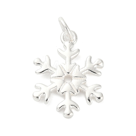 925 Sterling Silver Pendants FIND-Z069-04S-B-1