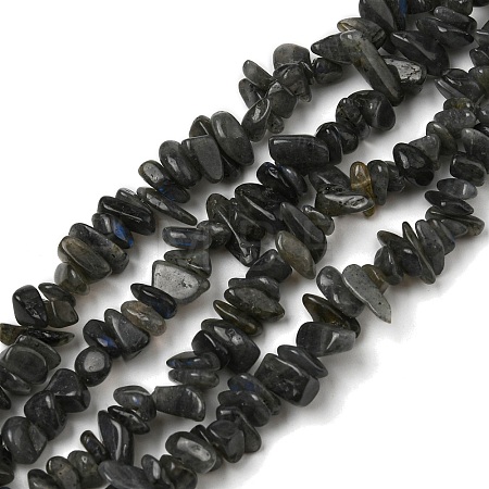 Natural Labradorite Chip Bead Strands G-M205-57A-1