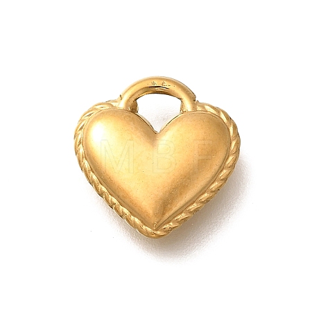 304 Stainless Steel Charms STAS-D288-04G-1