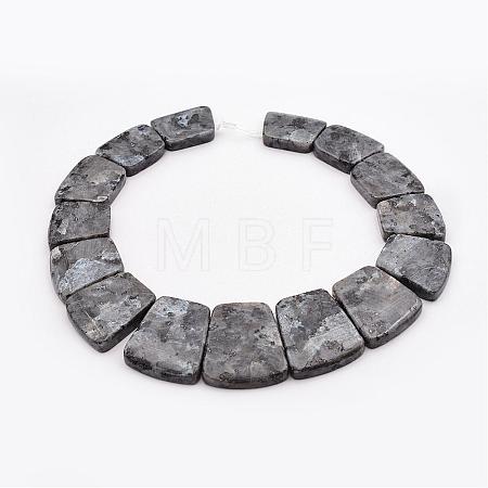 Natural Larvikite Graduated Bead Strands G-P296-F01-1