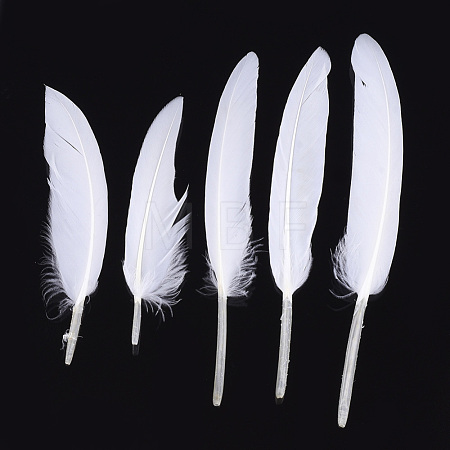 Goose Feather Costume Accessories FIND-T037-01O-1