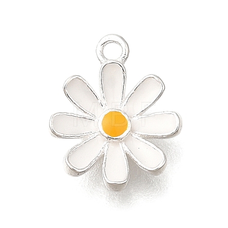 925 Sterling Silver Charms STER-F059-06S-1