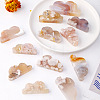 Natural Cherry Blossom Agate Display Decorations G-PW0004-01B-2