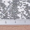 MIYUKI Delica Beads Small X-SEED-J020-DBS0168-4