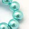 Baking Painted Pearlized Glass Pearl Round Bead Strands HY-Q003-10mm-65-3