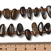 Natural Bronzite Beads Strands G-Z130-A02-01-5