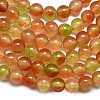 Natural Malaysia Jade Beads Strands G-L645-C01-6mm-25-4