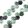 Natural Purple Fluorite Gemstone Beads Strands G-T006-04-1