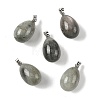 Natural Labradorite Pendants GG-K002-08A-01-1