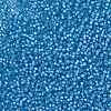 MIYUKI Round Rocailles Beads SEED-X0055-RR0573-3