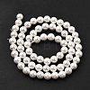 Electroplated Shell Pearl Beads Strands BSHE-K017-6mm-2