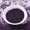 MIYUKI Delica Beads SEED-X0054-DB1312-3