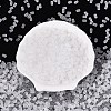FGB Frosted Transparent Glass Seed Beads SEED-N013-05A-01-2