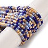 Handmade Czech Lampwork Beads Strands LAMP-L078-008G-1