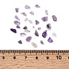 Natural Amethyst Chip Beads G-L453-06-2