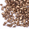 FGB Plated Glass Seed Beads SEED-S020-03E-17-2